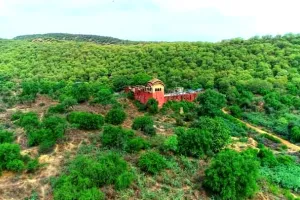 आज रात तक रामगढ़ विषधारी में कुलांचे भरेंगे घाना से आए चीतल