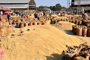 एग्रो कमोडिटी पर कम हो टैक्स का भार