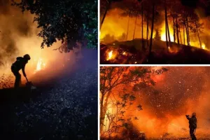 चिली के जंगलों में लगी आग,13 लोगों की मौत