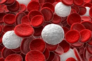 कैंसर को खत्म कर सकती हैं श्वेत रक्त कोशिकाएं