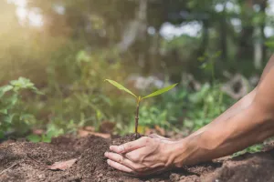 क्षेत्रफल में राजस्थान सबसे बड़ा राज्य, वन क्षेत्र मात्र 9.60%