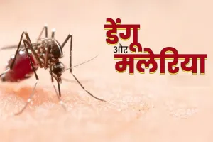 सीजन @ बारिश : मच्छरों का प्रकोप, फैला रहे डेंगू-मलेरिया, तेजी से बढ़ रहे मरीज