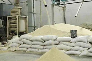 गैर-बासमती चावल के निर्यात पर रोक, भाव में 3 से 5 रुपए तक की आई गिरावट