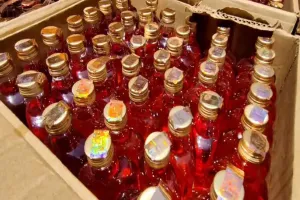 मध्य प्रदेश में पकड़ी एक करोड़ की अवैध शराब