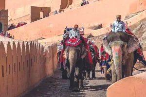 हाथी सवारी सबसे पुरानी, नहीं होती ऑनलाइन बुकिंग