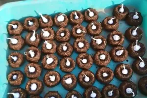 गाय के गोबर के दीपक, भगवान की मूर्तियां, स्वास्तिक की बढ़ी मांग