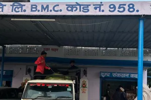 सीआईडी क्राइम ब्रांच की चाकसू में बड़ी कार्रवाई: कौथून बीएमसी में सप्लाई के लिए आया 1000 लीटर मिलावटी दूध जप्त