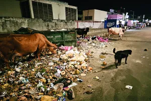 दिवाली पर बिगड़ी शहर की सफाई व्यवस्था