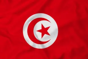 ट्यूनीशिया ने गाजा में भेजा मानवीय सहायता से भरा दूसरा विमान 