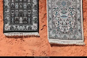 जयपुर रग्स ने जर्मनी में जीता कालीन डिजाइन पुरस्कार 2024