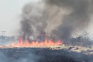 प्रतिबंध के बावजूद नौलाइयों में आग लगा रहे किसान
