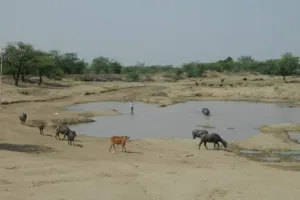 सही तकनीकी सर्वे के साथ नरेगा श्रमिक बदल सकते हैं गांव के तालाब बावड़ियों की सूरत