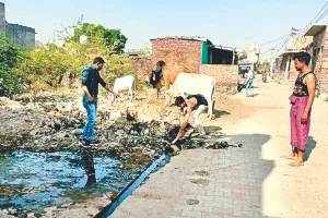  सफाई व्यवस्था हो रही चौपट, ग्रामीण खुद कर रहे नाली साफ