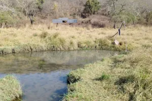 सौलर बुझा रहा जंगल की प्यास