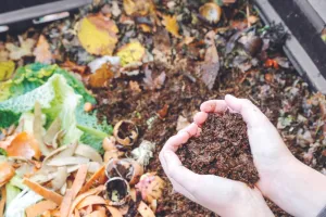 Home Composting and Three R's को निगम ग्रेटर उपलब्ध कराएगा मंच