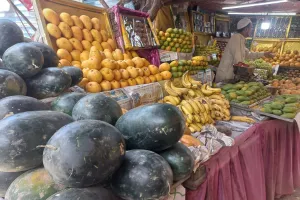 आमजन से दूर फलों का राजा आम 60 से 200 रुपए प्रति किलो 