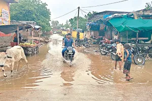 सावंतगढ़ बस स्टैंड बना ताल तलैया, मुश्किल हुआ सफर