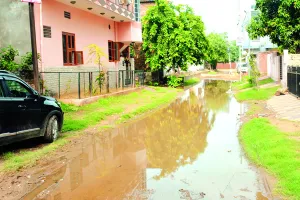 नालों की नहीं हुई सही तरीके से सफाई, कॉलोनियों में भर रहा बारिश का पानी 