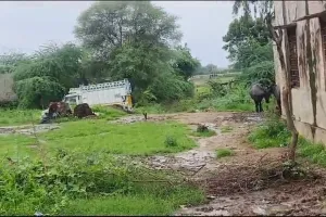 शर्मनाक: विद्यालय के बरामदे में शौच कर जाते है अराजक तत्व