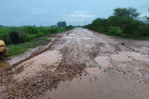 असर खबर का - पीडब्ल्यूडी विभाग चेता, सड़क के गड्ढों को भरना शुरू किया