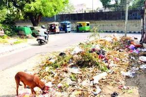 दीपावली पर घरों में की सफाई, सड़कों पर गंदगी