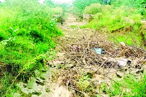 बूढ़ी नहरों की सूध ले तो बचे लाखों लीटर अमृत 