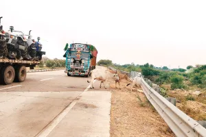 यात्रियों की जान से खिलवाड़ कर रहा एनएचएआई