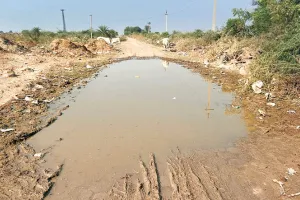 अरे! भाई, जरा देखो...भेरूपुरा सड़क बनी तालाब   