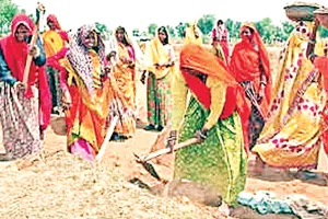 मनरेगा : मजदूरी देने के मामले में देश में पहले पायदान पर राजस्थान 
