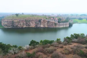 चीता बसाने को 42563 हैक्टेयर वनखंड को वाइल्ड लाइफ में शामिल करने की तैयारी