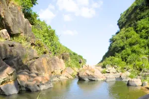 सालगांव बांध परियोजना के लिए भूमि अवाप्ति, प्रभावित होंगे कई परिवार और संसाधन