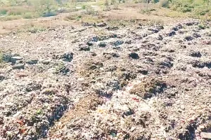 हाड़ौती की गंगा का हाल बेहाल, चंद्रभागा नदी में सफाई के दावे खोखले नजर आ रहे