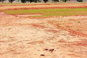 झालावाड़ में सोलर सिंचाई परियोजना के लिए अवाप्त होगी भूमि, किसानों को मिलेगा सिंचाई का पानी