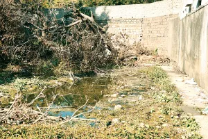 संकट में जेडीबी की 7 हजार छात्राओं की जान, कॉलेज में सड़ रहा सीवरेज, सांस लेना मुश्किल