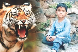 वन विभाग के प्रति लोगों में आक्रोश : पांच दिन श्रद्धालुओं के लिए किया त्रिनेत्र गणेश मार्ग बंद, तीन दशक में करीब 20 लोग बन चुके पैंथर का निवाला