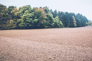 अंधेरी मध्यम सिंचाई परियोजना : 15 गांवों में भूमि अवाप्ति, डूब क्षेत्र में 1181.61 हेक्टेयर भूमि 