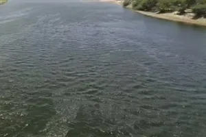 राजस्थान-हरियाणा की टास्क फोर्स 4 माह में संयुक्त डीपीआर को देगी अंतिम रूप, राजस्थान के तीन जिलों को मिलेगा यमुना से पीने का पानी