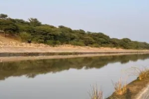 गंगनहर में होंगे 1195 करोड़ के कार्य, किसानों को मिलेगा पूरा पानी