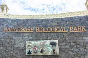 बाघिन रानी ने पांच शावकों को दिया जन्म, चार गोल्डन और एक सफेद