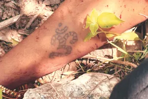 नहीं हो सकी मृतका की शिनाख्त : युवती का पत्थर से चेहरा कुचला, लहूलुहान शव झाड़ियों में फेंका