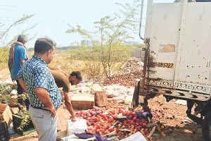 फूड सेफ्टी टीम ने कोल्ड स्टोरेज का किया निरीक्षण : एक हजार किलो सेब और 250 किलो कीवी कराई नष्ट