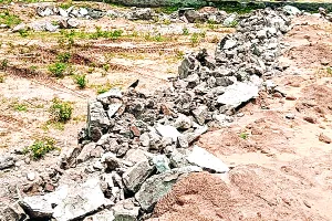 19 बीघा भूमि पर बसाई जा रही 5 अवैध कॉलोनियां ध्वस्त, जेडीए ने की कार्रवाई