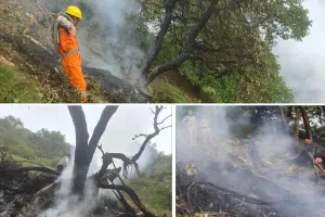 उत्तराखंड में भीषण हादसा : केदारनाथ से गौकुण्डी जा रहा हेलीकॉप्टर क्रैश, 7 लोगों की मौत 