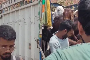 बकरीद के मौके पर दिल्ली रोड पर सजा बकरों का बाजार : खरीदारों की उमड़ी भीड़, नस्ल और सुंदरता के आधार पर हो रही रखीददारी