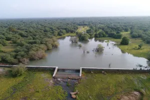 शेरगढ़ व भैंसरोडगढ़ सेंचुरी में 5 करोड़ से बनेगा हबीर्वोर ब्रिडिंग सेंटर, प्रत्येक एनक्लोजर 100 लाख से बनेगा