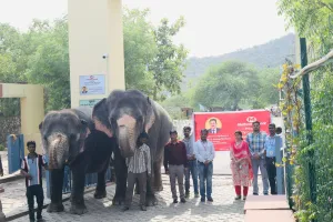 जयपुर के हाथी गांव में अब हाई-टेक सुरक्षा: हाथियों पर रखी जाएगी 24 घंटे नज़र!
