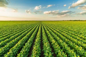 प्राकृतिक खेती बने आर्थिक प्रगति का कारक