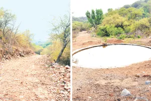 बीड़ पापड़ लेपर्ड सफारी : 14 दिन में 100 से ज्यादा पर्यटकों ने जंगल में वन्यजीवों की दुनिया को निहारा