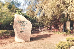 9 साल बाद नाहरगढ़ बायोलॉजिकल पार्क में फिर दिखेगा हिमालयन काला भालू, वन्यजीव एक्सचेंज कार्यक्रम के तहत जम्मू-कश्मीर जू से लाया जाएगा 