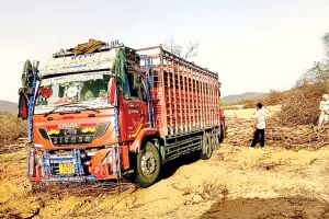 असर खबर का - रामगढ़ टाइगर रिजर्व से लकड़ियां चोरी करवाने के मामले में रेंजर निलंबित